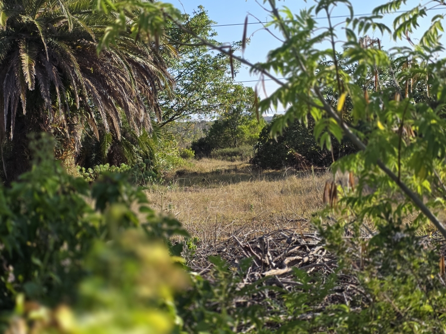 0 Bedroom Property for Sale in Wavecrest Eastern Cape